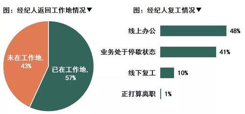 疫情下的行業(yè)百萬(wàn)軍團(tuán) 中指調(diào)查揭示1000名房產(chǎn)經(jīng)紀(jì)人的生存之戰(zhàn)